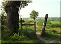 Public footpath leading down to the River Chelmer