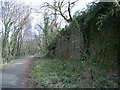 Dismantled railway in Dare Valley Country Park