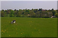 View from North Downs Way