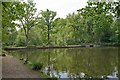 Hiltingbury Lake outflow