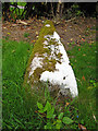 Logie Old Kirk: 11th century Hogback grave stone