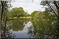 Looking across the northern lake in Cranbury Park