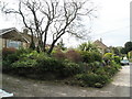 Verdant verge in East Harting Street, East Harting