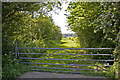 Gateway into field, Botany Bay, Enfield