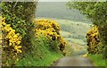 The Churchfield Road near Ballycastle (2)