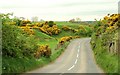 The Glenshesk Road near Armoy