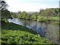 River Tamar at Horsebridge