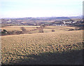 Hillside pasture at Tipwell