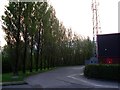 Line of trees at Clydebank Business Park