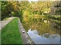 Tranquil waters above the Three Rise