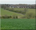 View towards Donisthorpe Lane