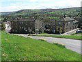 Reeth: daffodils and tea room