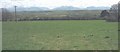 Pasture land north-east of St Beuno