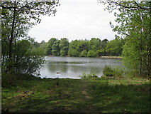 SK2670 : Chatsworth Grounds - Emperor Lake View by Alan Heardman