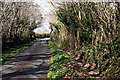 Lane near Walreddon Farm