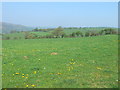 Farmland at Gwyddelwern