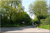 SY7691 : Tincleton Crossroads by Nigel Mykura