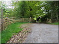 Footpath  by Onenfawr