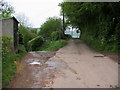 Lane passing Llwyncoed Farm