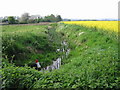 Looking NW along a ditch from corner of Blackwall Road