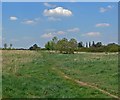 Open ground alongside Lubbesthorpe Way