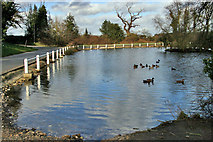 SE9645 : The Mere, South Dalton by Peter Church
