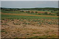 Arable land near Defford