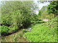 The brook next to Brook Lane