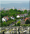 Across Knockbreda Cemetery, Belfast