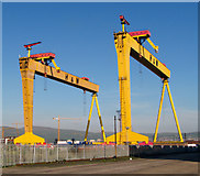 J3575 : The most famous cranes in Belfast [7] by Rossographer
