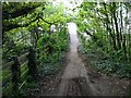 Path through the woods to footbridge over the M20 motorway