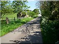 Old Road, Poyntzpass