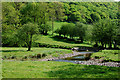 Afon Cothi at Aber Branddu