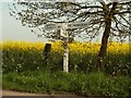 A signpost at Boxted