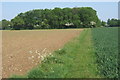 Footpath towards Coney Weston from Barningham