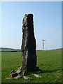 Standing Stone, Stones