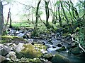 Confluence of Sawdde Fechan and Ceulan