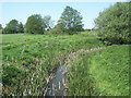 Little Ouse seen from footbridge