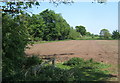 Field and track by the edge of Hopton Fen