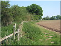 Footpath by the edge of Hopton Fen