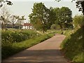 The approach to Wissington Grove Farm