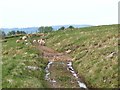 Bridleway heading northeast from Pencaegarw