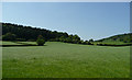 SO4167 : Herefordshire grassland by Jonathan Billinger
