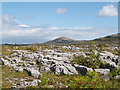 R3194 : Burren National Park by Adrian King