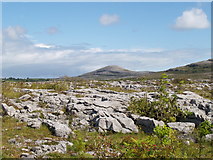 R3194 : Burren National Park by Adrian King