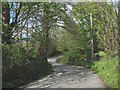 Narrow country lane north of Carrog Farm