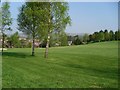 Looking into Hardgate Golf Course