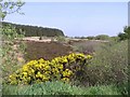 Formoyle Townland