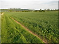 SP2753 : Fields Near Walton by Ian Paterson