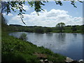 Upstream River Dee